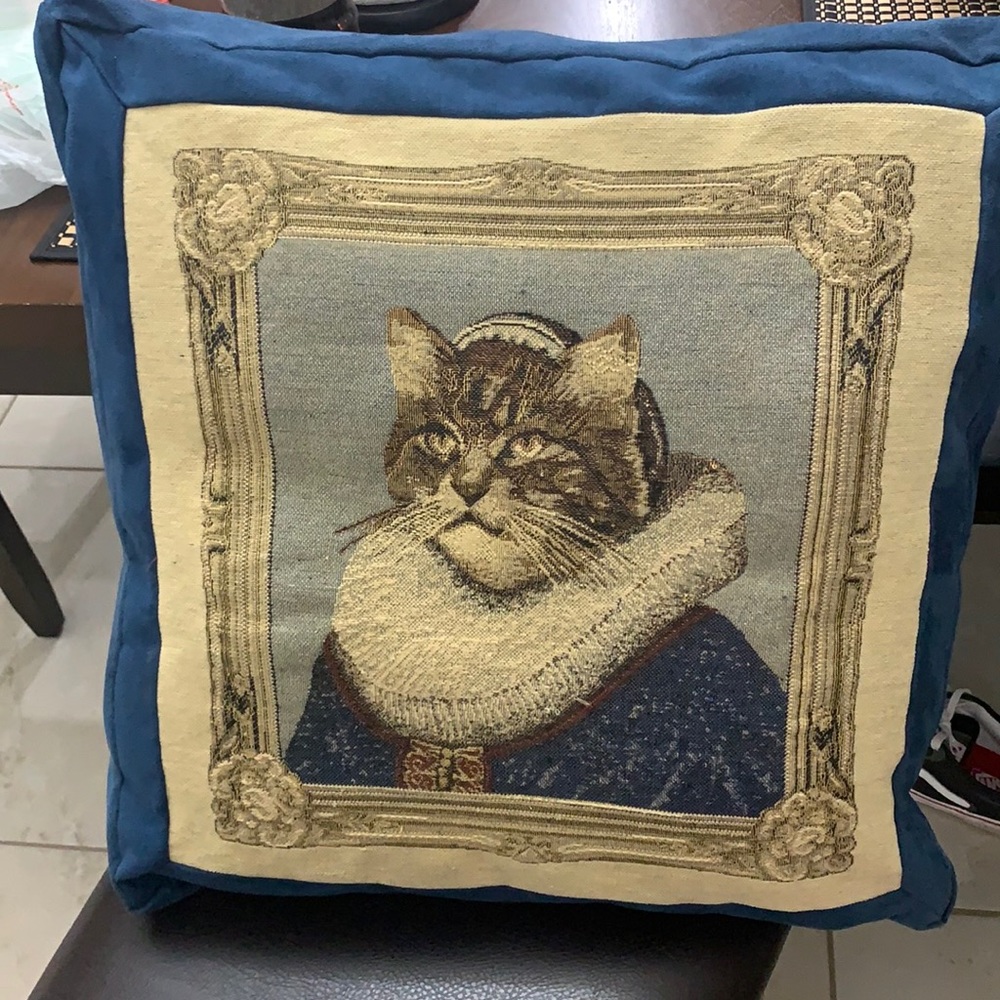Pillowcase Cat